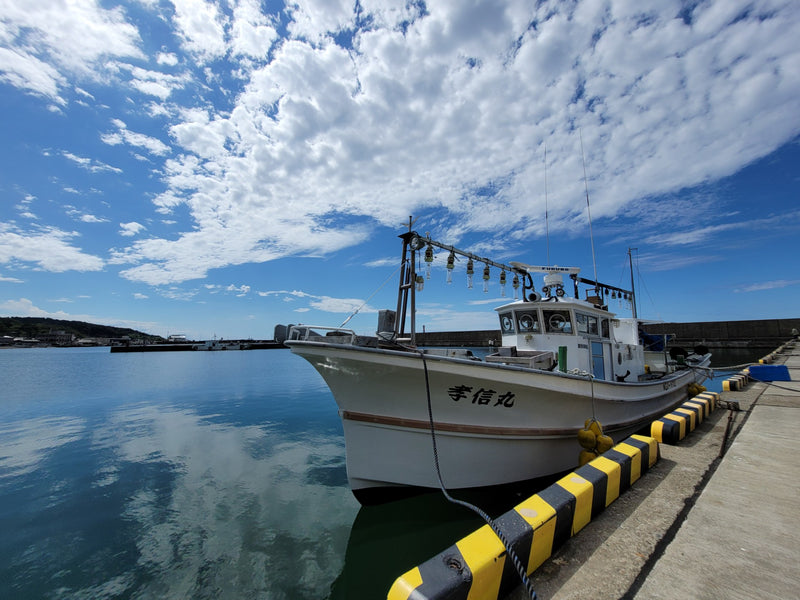 【🎣遊漁船】新潟の海で船釣り